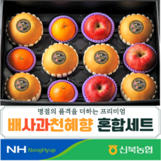 신북농협 영암배+사과+천혜향 혼합세트 6kg 내외(배6과+사과3과+천혜향3과), 단품