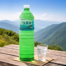 첫물 하동 지리산 고로쇠 수액, 12개, 1.5L