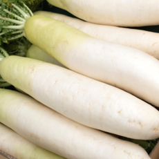 [농산물마루] 국내산 무 무우, 1박스, 1kg