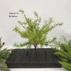 高仿真綠植蕨草綠色蕨類植物腎蕨熱帶雨林軟膠櫥窗景觀造景裝飾, 45cm天門冬, 1個
