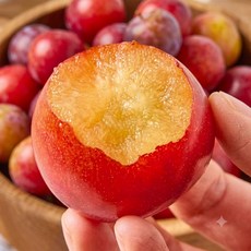 [한정초특가] 당일수확 초고당도 새콤달콤 대석자두, 1박스, 1kg