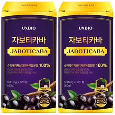 [정품] 자보티카바 Jaboticaba 정, 2개, 120정