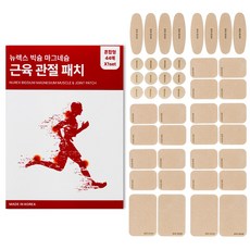 빅슘 마그네슘 패치 근육 관절 패치, 44개