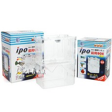 【AC草影】T&F 同發 IPO 自浮式多功能隔離盒（L）小魚繁殖 繁殖盒 小魚育成 孔雀繁殖 飼育盒 小魚隔離, 1個