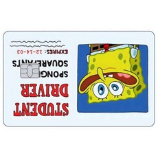 카툰 운전면허증 신용카드 스킨 패트릭 스타 스티커 패치 은행카드 무광 데칼 장식 선물, Big Chip, 16 1PCS