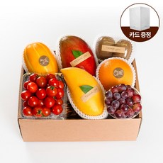 [올프레쉬] 프리미엄 제철과일 2호 7종 (참외 태국망고 외) 1.9kg이상 - 27년 국내 1호 과일소믈리에, 1개