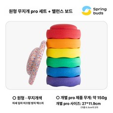 무지개 돌 건너기 감각훈련 게임 쌓기 블록 교육용 균형, 1개, 원형 무지개 프로 세트 + 밸런스 보드