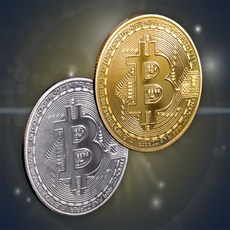 원셀 모형 비트코인 기념주화구매, 실버