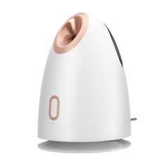 가정용 페이스 스팀기 보습 수분공급기 페이스 수분 공급 미스트기 휴대용 수분공급기 페이셜 홈 스파, 흰색, Z1