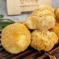 전남 강진 말린 건 노루궁뎅이버섯 50g, 1개