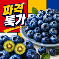[작년판매1위] 개꿀과일 블루베리 탱글한식감 고당도선별, 1개, 100g*4팩