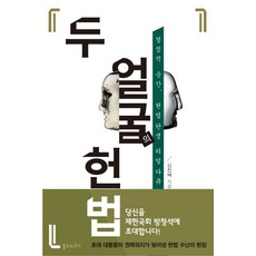 두 얼굴의 헌법:결정적 순간 헌법 탄생 리얼 다큐, 폴리티쿠스, 김진배 저