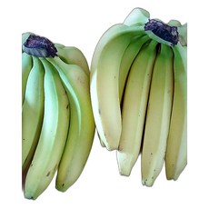 바나나 친환경 DOLE MANNA 껍질 엄선 정성 대용량 신선 선물용 1.36KG 1개, 1360g