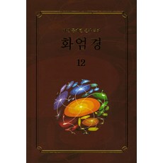 Moonzen 華嚴經 12, 大願 文在鉉 著