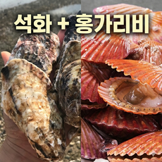 [장씨네 석가세트] 큰홍가리비+굵은 석화 세트 통영직송, 1개, 석화 3kg + 홍가리비 2kg