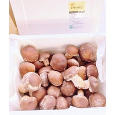 수탱이버섯 송화버섯 송고버섯 솔송화버섯 송로버섯 표고버섯 송이버섯 선물용버섯 송화건버섯, 1개, 7-알뜰형(1kg)