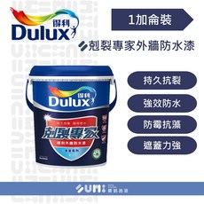 Dulux 得利 剋裂專家外牆防水漆, 1個, 水藍