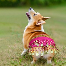 루이 강아지 벨리댄스 원피스 허리 체인 장식 힙커튼 파티 코스튬, 1개, 핑크색