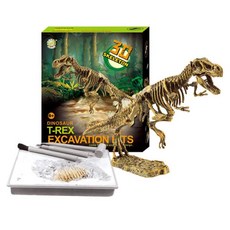 두뇌발달 교감 고고학 공룡 발굴 키트 고고학 교육 장난감, 01 Tyrannosaurus_01 CHINA