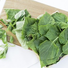 국내산 생 깻순 깻잎순 산지직송, 200g, 1개