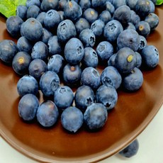 [부자농산] 제철 국산 친환경 유기농 생과 블루베리 미국산 칠레산 항공직수입, 2박스, 125g