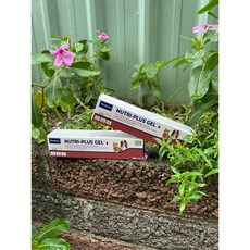 Virbac 維克 克補軟膏 (法國), 1個, 128g