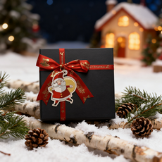 ZOZI 산타클로스 선물 포장 박스 + 쇼핑백, 1개, 블랙