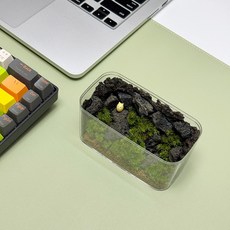 바람계곡의 속삭임 테라리움 만들기 키트, 1개