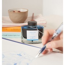 파이롯트 이로시주쿠 만년필 잉크 50ml, TAK(죽탄/타케스미)