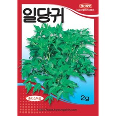 (씨앗) 일당귀 - 쌈용 당귀 - 쌈채소 - 당귀 씨앗 종자 - 소포장 2g, 1개