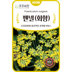 [주주씨앗] 펜넬 회향 씨앗 400립 / 다년생 다이어트 회향 다년생 허브 종자 / 봄 가을 파종 허브씨 씨앗몰, 1개