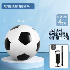 비치 에어볼 체육 공기펌프 대회 행사용 직경 원형 단체 큰공 튜브공, 80cm 수동 펌프 포함, 1개