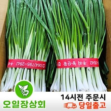 국내산 깐쪽파 1KG 2KG 3KG 내외, 1개, 1kg내외(1단)