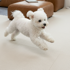 노는 개 최고양 접착제 남지 않는 흡착식 강아지 고양이 미끄럼 방지 거실 매트, 10개, 크림