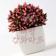 혜명잡화마트 다육이 조화 화분