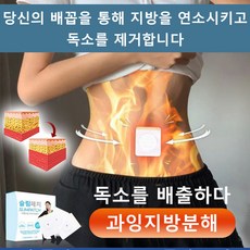 1+1/2+2 지방 태우기 패치 어한살빼기패치 바디 패치 부종을 없애고 지방을 태웁니다, 7pcs 한국판 마그네틱 포함*3+3, 6*7