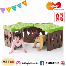 Weplay 玩轉樹洞 台灣製造 室內運動 幼教用品 兒童玩具, 1個