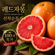 [한정특가] 루비레드 자몽 대과 고당도 자몽, 5개, 330g