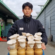 팔도명인 충북 음성 황제버섯 설원버섯, 1세트, 700g