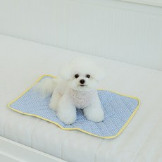 스카이몰 강아지 산책 매트, 1개, 블루체크