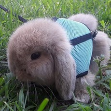 토끼 하네스 가슴줄 소형 애완 산책 탈출방지 조끼형 리드줄 착용 전용, 1개, 핑크 S