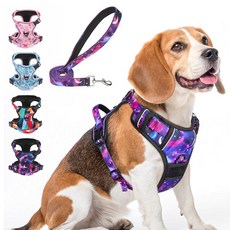 BEAUTYZOO 소형견을 위한 당김 없는 강아지 하네스 및 목줄 세트 조절 가능한 강아지 조끼 하네스 금속 목줄 클립 2개 반사 옥스포드 질식 방지 탈출 방지 손잡이, Starry Sky