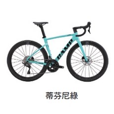 CAMP SR5 PRO 碟煞版鋁合金公路車 搭配Shimano 105 機械變速 內走線 碳纖維一體式車手把, 1個, 蒂芬尼綠,460mm