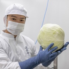 [특A급 원물]즙문가 특품 국산 양배추즙 선물용 양배추진액 스틱, 70개, 100ml