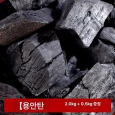 커피로스터기 가정용 로스팅기 볶는기계 홈로스터 카페, 드래곤아이 2kg+0.5kg, 기본 모델명/품번