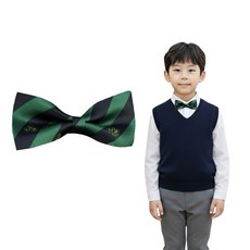 초록 네이비줄 아동 나비넥타이 어린이집 유치원 교복 스쿨룩 보타이 단품