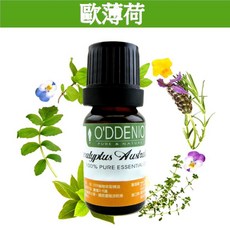 O'DDENIO 歐薄荷精油, 1個, 歐薄荷10ml