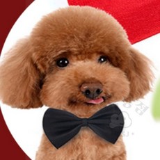 파워 소형 나비넥타이 유아나비넥타이