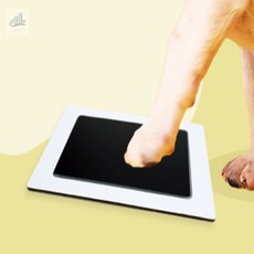 조은 강아지 발도장 스탬프 아기발바닥스탬프, 파