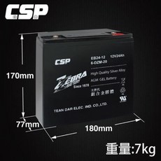 ZEBRA 斑馬牌 EB24-12 銀合金膠體電池 12V24Ah, 1個